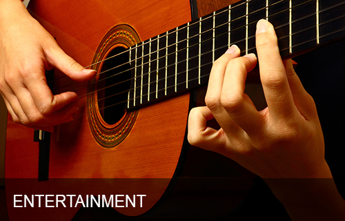 Nashville Entertainment Accountant